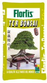 Flortis TERRICCIO per Bonsai