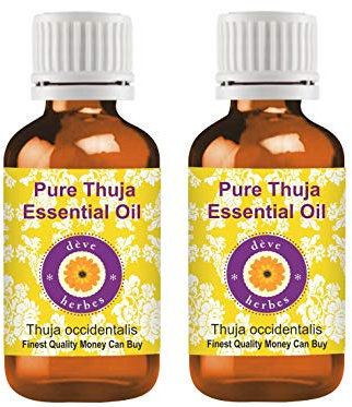 Deve Herbes Pure Thuja Essential Oil (Thuja occidentalis) Non-Sticky | Non-Greasy | Strong Woody Aroma | for Aromatherapy, Massage, Diffuser & Blends 100ml X 2