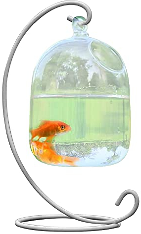 MISNODE Hängende Glasvase mit Ständer, kreative Fischvase aus Glas, transparent, Goldfischschale, kleine Tischplatte, Mini-Aquarium für Betta Fisch, Zuhause, Garten, Schreibtisch, Dekoration