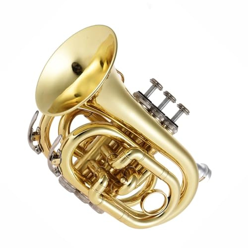 Mini-Taschentrompete Bb Flat Brass Blasinstrument Handschuhe Tragetasche Anfänger Standardtrompete