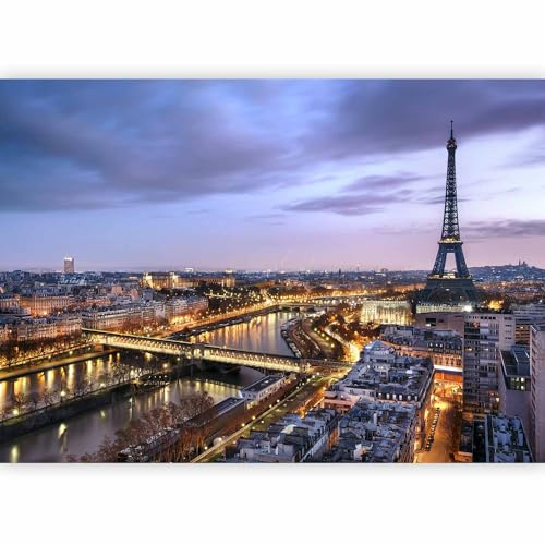 murando - Carta da Parati Moderna per Soggiorno, Paris, 300x210 cm | Fotomurali in TNT, Decorazione da Muro XXL, Carte da Parati Moderne, Parigi, Produzione Europea
