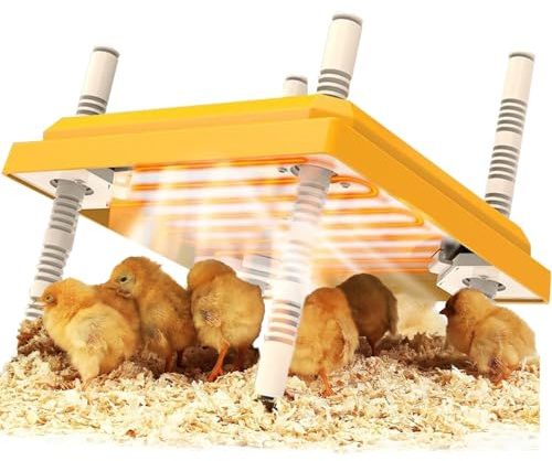 Chick Brooder Plaque chauffante, 25,4 x 25,4 cm, couveuse à poussins, angle et hauteur réglables, incubateurs sûrs avec plaque facile à nettoyer pour poussins/canards, thermostat pour 15 poussins