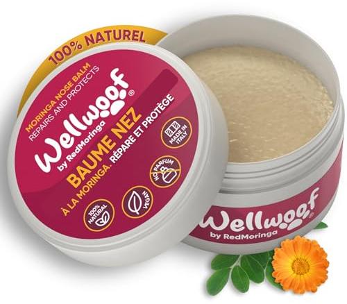 Wellwoof 100% Natürliches Nasenbalsam für Hunde - Repariert und Schützt Rissige Hundenase mit - Vegane & beim Ablecken Nicht Giftige Nasenpflege Hund - Made in Italy