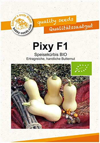 Kürbissamen Pixy F1 BIO Portion