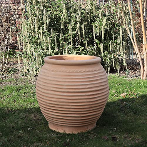 Palatina Werkstatt Exclusif Terracotta Amphore Ficus 45 cm – 100 % fait main unique pour le jardin et la maison – Une beauté intemporelle de Grèce