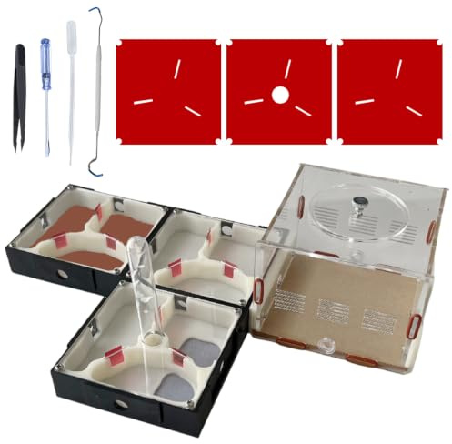 Ants Footsteps Ant Farm Nest Science DIY Terrarium Kit Care for Live Ants Ant Habitat with Water Tower Nurturing Room and Comprehensive Observation-Set 4
