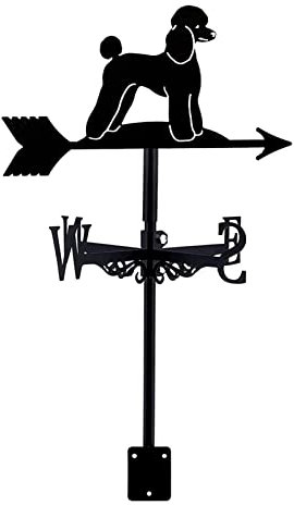 Generic Girouette, Original Colosse Girouette Pour Installation Sur Le Toit Camétal Extérieur Support En Métal Girouette Jardin Cour Ornements