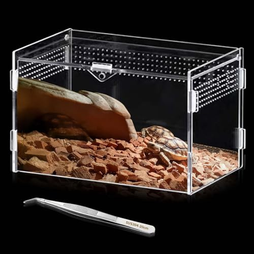 Acryl Reptil Fütterungsbox 20x12x12cm Mini Transparentes Terrarium, Insekten Terrarium, Terrarium-Behälter, Critter Box mit Edelstahl Tweezer, 360 Grad Volltransparenz für kleine Reptilien und Spinnen