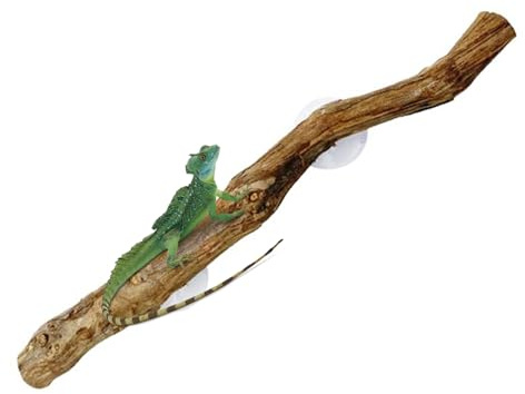 Kletterzweige für Reptilien, 30 cm, natürlicher Holzstamm, einzigartige Terrarium-Dekoration, rutschfestes Lebensraum-Ornament, - , Schlange, Gecko-Zubehör, Vivarium-Terrarien