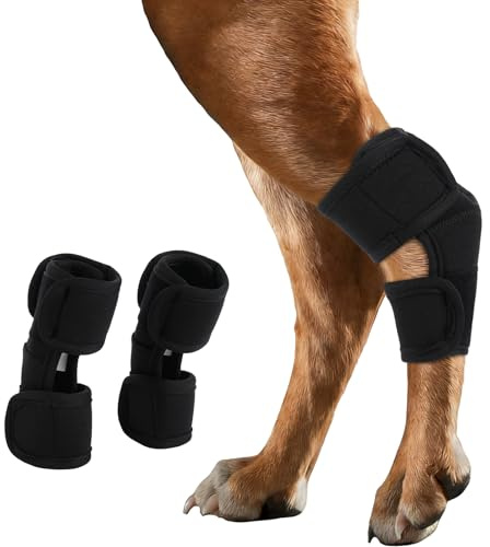 IECOii 1 paire de genouillère pour chien, support de cheville respirant pour chien, attelle de compression pour articulation pour entorse, support de patte arrière réglable pour chiens âgés, Noir