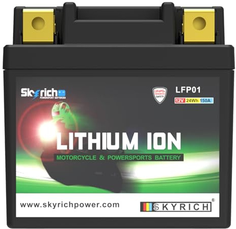 Batería litio Skyrich LFP01