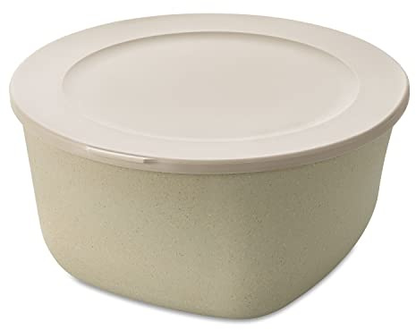 Koziol Connect Box 4 mit Deckel aus Kunststoff in der Farbe Nature Desert Sand 4L, Maße: 25,2cm x 24,7cm x 13cm, 7872700