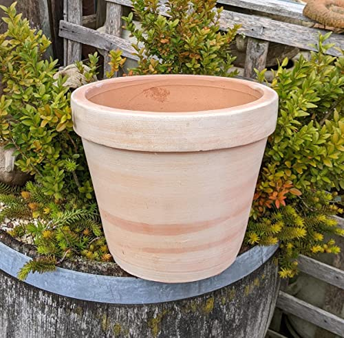 Generisch NEU !! Schöner Schlichter Blumenkübel / -Topf ø 31 cm aus Terracotta Terrakotta Pflanzgefäß Garten