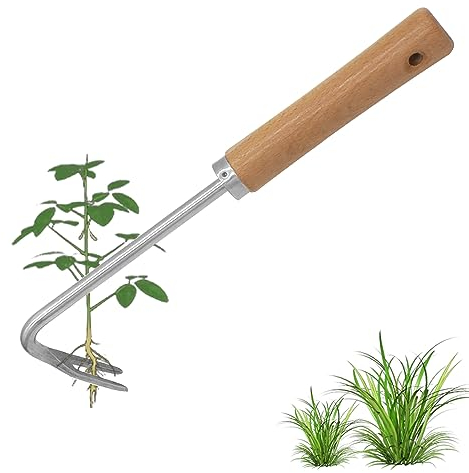 GYSRXS Edelstahl Unkrautstecher Hand 25,7×7,5cm Wurzeljäter mit Holzgriff Unkrautjäter Fugen Passend für Garten zum Jäten,Erde Ausbaggern,Gemüse Graben,Umpflanzen