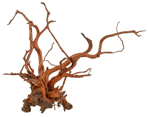 Amtra Legno Red Spider King - Taglia XS 10-25 cm, Decorazione in Legno Naturale per Acquari, Tronco naturale ornamentale, Accessorio arredo decorativo per Terrari
