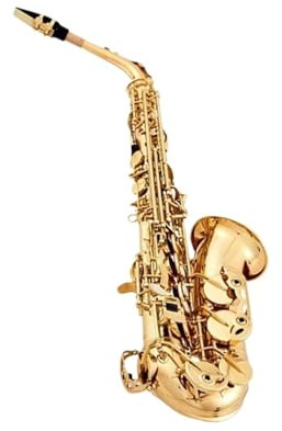 Goldlackiertes Professionelles Altsaxophon Professionelles Übungsinstrument Für Anfänger In Es Altsaxophon