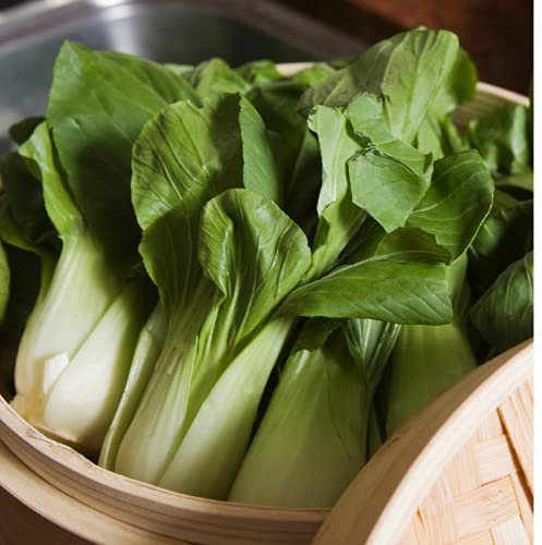 Pak Choi Dwarf Canton White - Oriental Chinese Vegetable Seeds