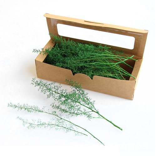 SGERUFZ 20 ramas DIY simulación estática, en miniatura, árboles modelo, césped mechones de hierba artificial, diseño de arbustos para el paisaje del jardín de bricolaje, manualidades y diorama (verde)