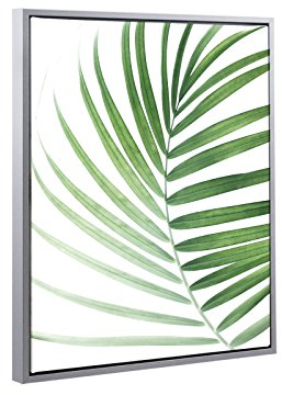 Bildershop-24 Schattenfugenrahmen Set Lemgo Alu geschliffen (Dekor) mit Keilrahmen Leinwand Bild Druck Motiv: Palmenblatt 1 70x100cm
