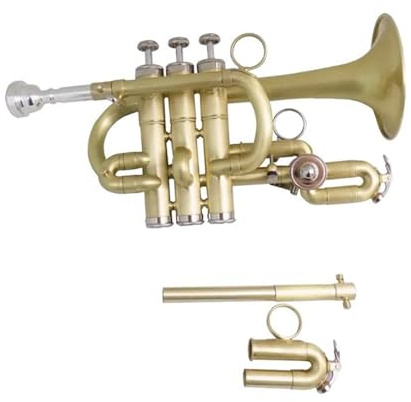 Bb/A Piccolo-Trompete Musikinstrumente Gebürsteter Messingkörper Mit Koffer(D)