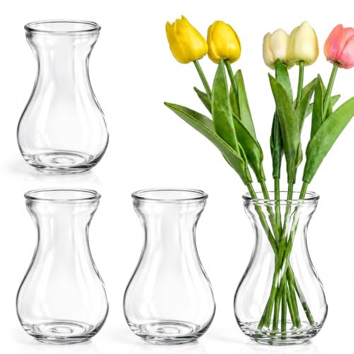 Garneck Glass Hyacinth Vases 4pcs Small Bud Glass Set 4Pcs Small Hyacinth Bud for Hydroponic Flowers Indoor Decorative Flower for Home Office