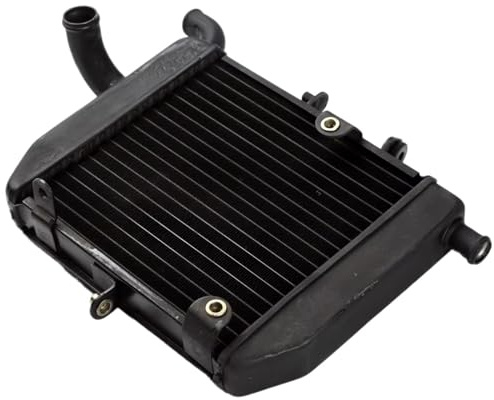 NIONGYN Compatibile con RVF400 per NC35 1994 1995 1996 Moto Serbatoio dell'Acqua Radiatore Raffreddamento Radiatore di Raffreddamento Serbatoio del Liquido di Raffreddamento radiatore dell'Acqua Moto