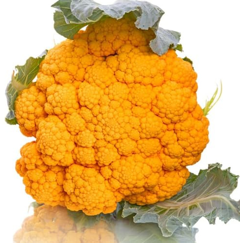 semillas de coliflor resistentes para el jardín Camas elevadas para silvestres de jardín semillas balcón exóticas 60pcs