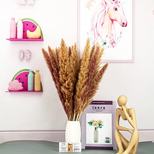 KUNSTIFY XXL Pampasgras 100cm, Natürliches Trockenblumen Deko Set (5X Natur XXL Pampas)