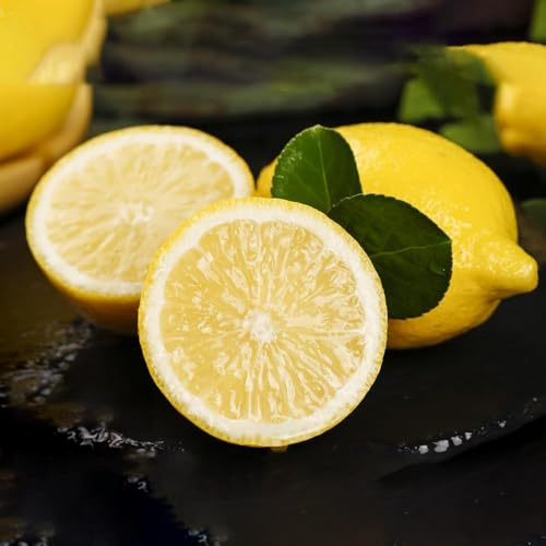 20 piezas semillas de limonero para balcón - semillas de lecho elevado jardín resistentes, balcón, jardín interior salada rara