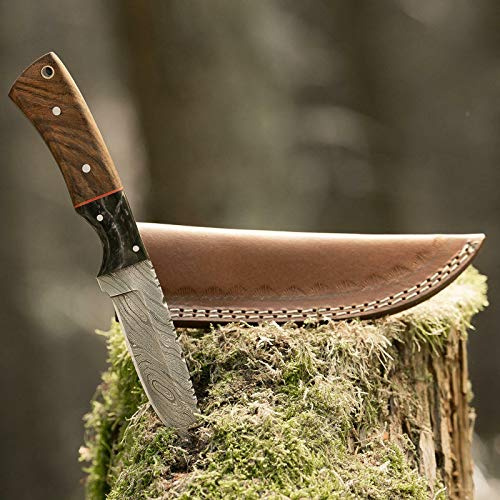 elToro Walnut Horn, Damast, Jagdmesser, 10cm, inkl. Lederscheide