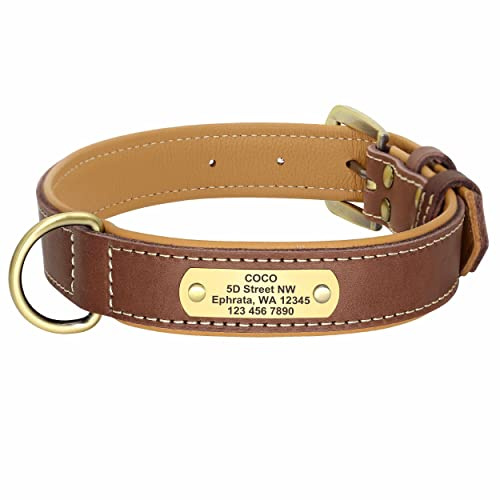 mypfote.com Exklusives Leder Hundehalsband mit großer Gravurplatte und gratis Gravur von Name und Telefon, für mittlere und große Hunde Braun/L 43-55cm