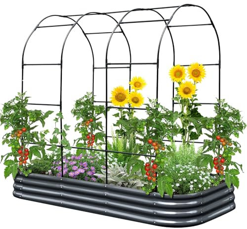 KING BIRD Jardinera con enrejado y estante en el techo, bancal alto de metal con arco de rosas, jardinera con enrejado de jardín para plantas trepadoras y plantas de mimbre 240 x 120 x 30 cm, gris