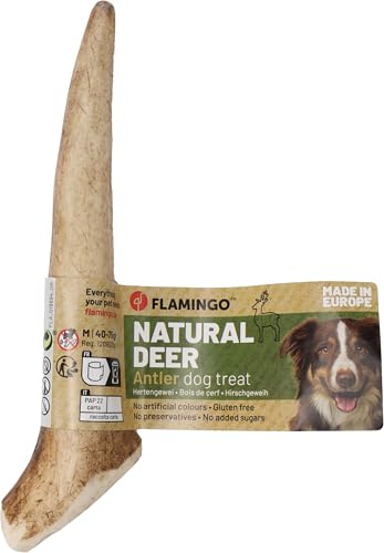 friandise Chien – Snack Nature Bois de cerf Hard – Taille M – 75g – friandise Naturelle à mâcher – Soin Dentaire – Origine Europe