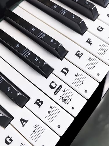 YPTSYSYS Piano Notes Guide for Beginner, Removable Piano Keyboard Note Labels for Learning, 61-Key standard full-size, Made of Silicone Rubber, Reusable and Comes with Box(Colorful)