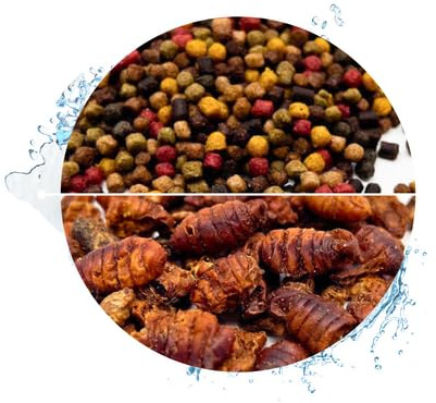Warnick's Fischfutter Koifutter 5-Sorten-Mix 3 mm - 15 Liter | Mit 1 L Seidenraupen - Fischfutter für Koi & Zierfische - Schwimmfähig & gut verdaulich - Farbverstärkend mit Spirulina