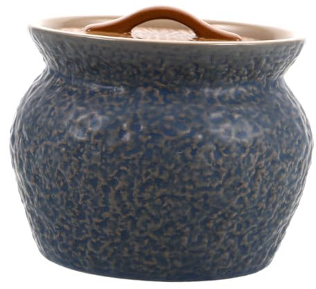 GLEAVI Pot Céramique Avec Couvercle Pour Vapeur Casserole Multifonctionnelle Pour Œufs Et Plats Mijotés Design Unique Pour Repas Individuel Conservation Des Nutriments