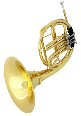 Bb Waldhorn 3 Klappen Messingkorpus B Flach Vergoldete Box Professionelles Musikinstrument