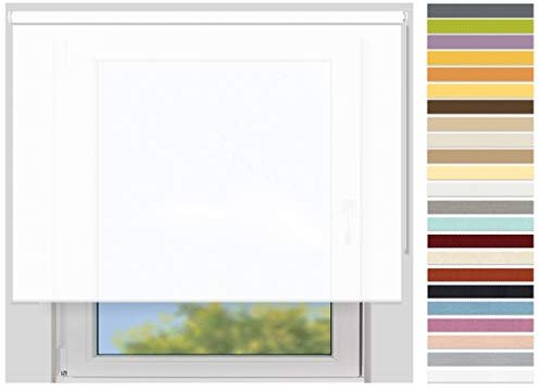 EFIXS Sichtschutzrollo Maxi - 32 mm Welle - Breiten: 40-240 cm - Höhen bis 240 cm - Hier: 160 cm x 240 cm (Stoffbreite x Höhe) - schneeweiss (100) - lichtdurchlässig - Blickdicht