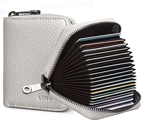 Goopai RFID 20 Kartenfächer Kreditkartenetui Echtes Leder Akkordeon Kartenetui Kleine Geldbörse für Damen oder Herren mit Reißverschluss, silber, S, Klassisch