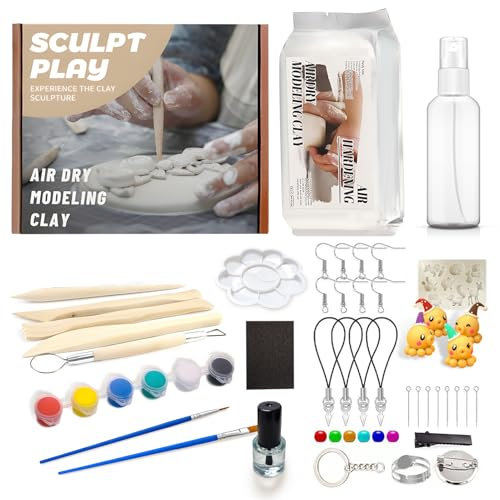 WEILAOK Kit Ceramica Fai da Te, Pasta Modellabile Autoindurente, Argilla da Modellare Senza Cottura, Argilla da Modellare, Kit Fai da Te Creativo Adulti, Strumenti per Modellare Argilla