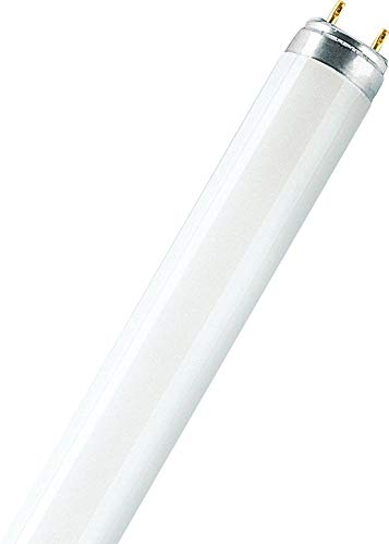 OSRAM 4058075024496 A+, LED-Leuchtmittel, Glas, 16, 2 W, G13, Weiß, 121.2 x 2.8 x 2.8 cm