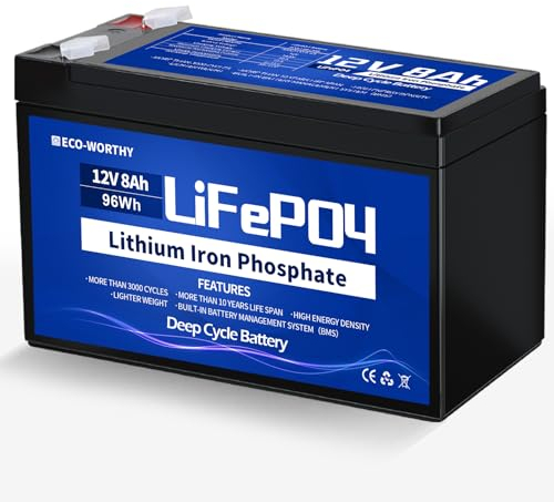 ECO-WORTHY - Batteria al litio LiFePO4, 12 V, 8 Ah, ricaricabile a 15000 cicli profondi e protezione BMS, per campeggio, impianto solare, camper, ecoscandaglio, barca, passeggino, pannello solare