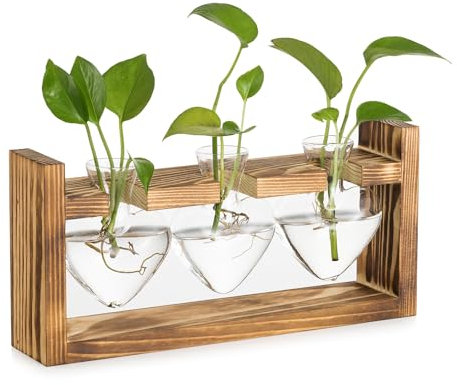Glasseam Glass Propagation Station for Plant: Small Flower Vase with Vintage Wooden Frame Set for Indoor House Kitchen Window Desk Decor - 3 Bud Vases Terrarium Plants for Hydroponic Herb Rose Cutting