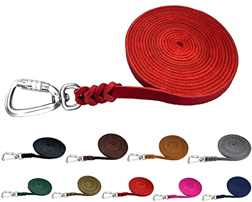 Hundeleine Fettleder Schleppleine große Hunde 1m / 2m/ 3m / 5m / 10m / 15m / 20m Lederleine 15mm breit (Rot, 10m MIT Handschlaufe)