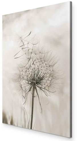 murando - Akustikbild Natur Bilder Akustikschaum Hochleistungsschallabsorber Schallschutz Leinwand 1 tlg Wandbild Raumakustik Schalldämmung Pusteblume Pflanzenmotiv Blumen