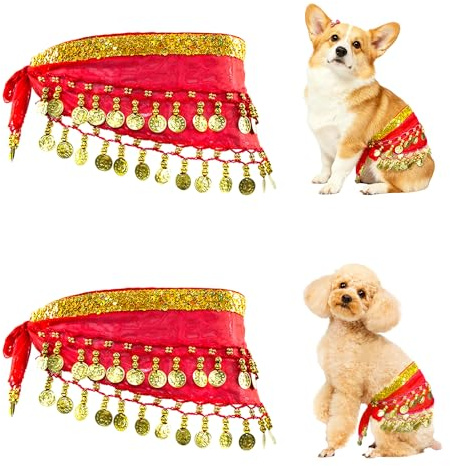 Baisdan Bauchtanz-Hüfttuch für Kinder, Hunde, Bauchtanzrock mit Pailletten-Münze, Hundekostüm für Halloween, Geburtstagsfeiern und Cosplay, 2 Stück