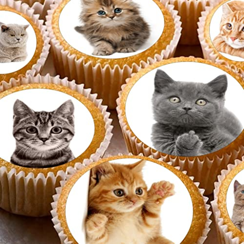 24 edible cute cats childrens party decorations Iced/Icing Cupcake Topper Edible Fairy Cake Bun Toppers Round