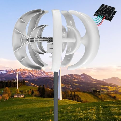 Kit generatore Verticale per turbina eolica da 10000 W, 12 V/24 V, Magnete Permanente trifase a 5 Pale per Illuminazione Domestica e Stradale, Soluzione efficiente per Le Energie rinnovabili
