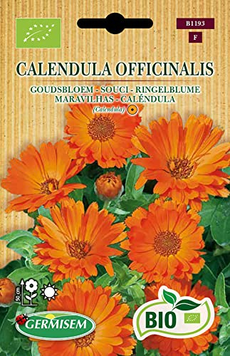 Germisem Ringelblume CALENDULA OFFICINALIS