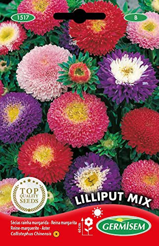Germisem Graines Reine-marguerite LILLIPUT MIX